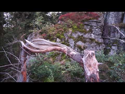 Szklarska Poręba - Ponura Małpa VI.3