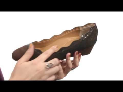 J. Renee Fedosia SKU:8775216