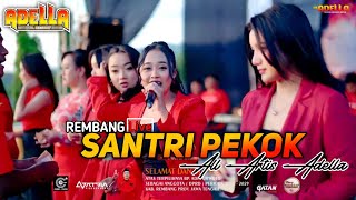 Download lagu SANTRI PEKOK - ALL ARTIS OM ADELLA - LIVE REMBANG mp3