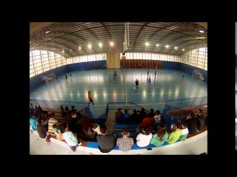 MAR ROCK - LACHICORIA