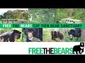 Welcome To The Beautiful Cat Tien Bear Sanctuary