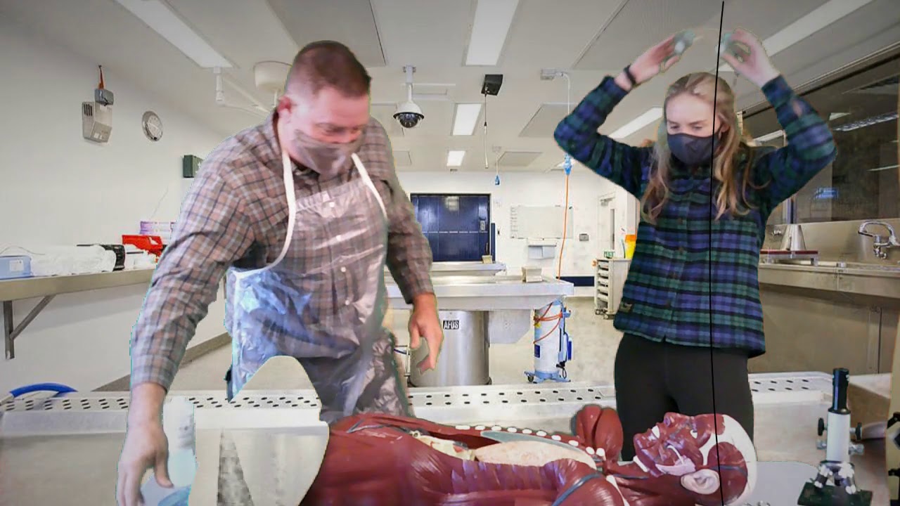 Ötzi: The Iceman Murder