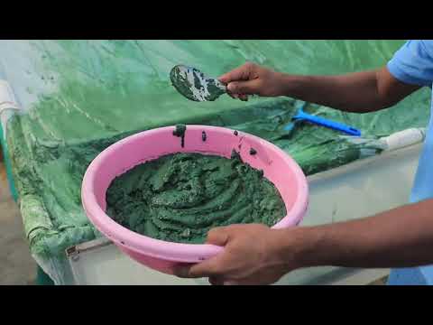 Natural Spirulina Powder, 25 kg