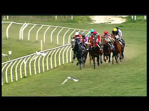 Galoppo 25/02/2020 - 1ª corsa