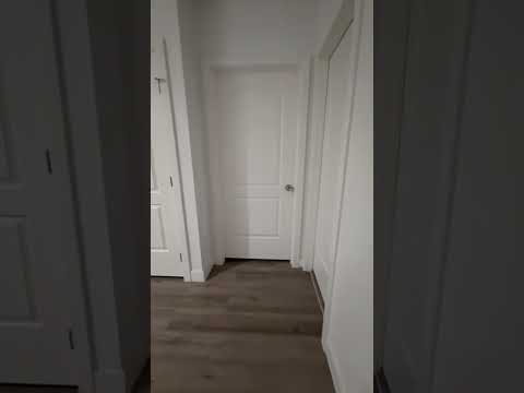 LANFRANCO(3743) - Video 2 of 2