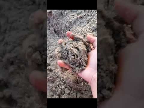 ✨World Wide Biggest Sea Beach✨#Coxsbazar #Sand #Bangladesh