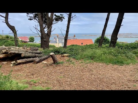 GUERNSEY - Beautiful Le Guet 🇬🇬