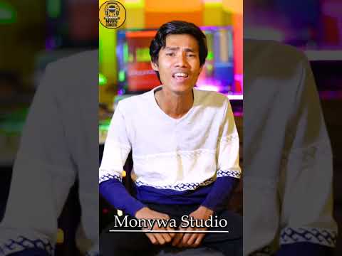 "နှင်း"   တေးဆို အောင်သူခိုင် -တေးရေး- မောင်နွေနှောင်း