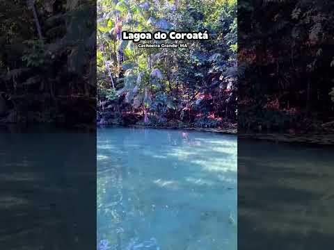 Já segui o perfil para mais conteúdos como esse 🇱🇷🏝️☀️