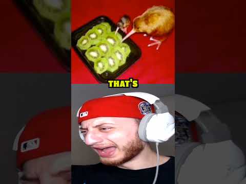 A Kiwi Eating A Kiwi #shorts #short #memes #meme