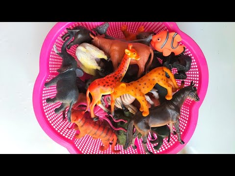wild animal toys collection part-23 zebra, goat, rhino, lion, tiger,gorilla,deer, giraffe@idea's421m