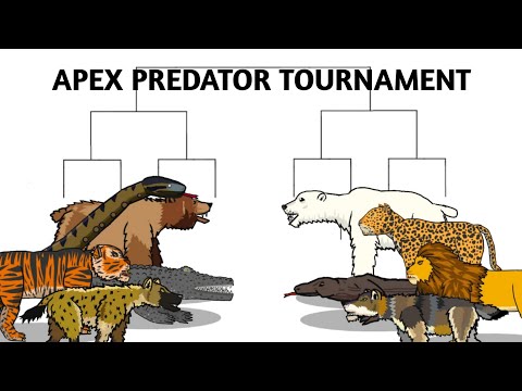 APEX PREDATOR TOURNAMENT-ANIMATION