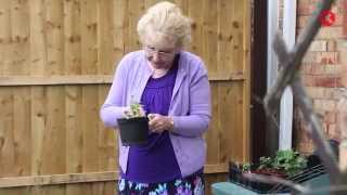 God showed up when we were broke | 0029 | Xpedition Glory