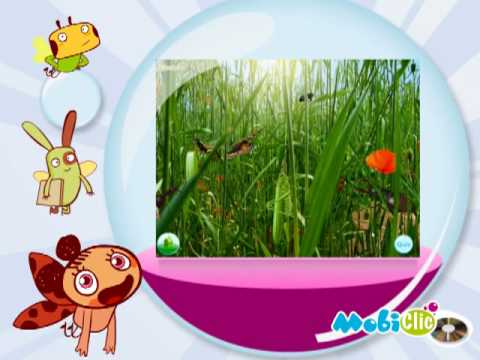 Les Fourmis : Les Guerres de l'Ouest PC