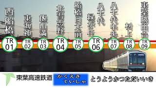 TOYO-KATSUTADEAD ZONE【動画版】