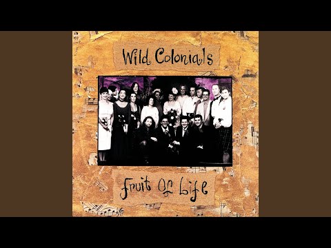 Spark - Wild Colonials