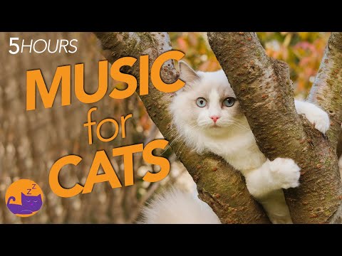EXTREME Relaxation Music for Cats - Expert Made (2022)