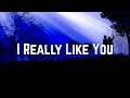 Carly Rae Jepsen I Really Like You Lyrics