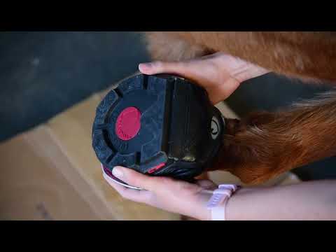How to Test the Fit of Your Cavallo Horse Hoof Boots!