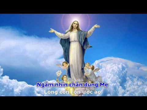 Thể hiện bởi Vy Thảo