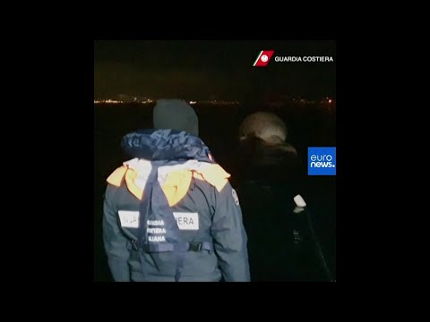 Toter Finnwal in Süditalien entdeckt