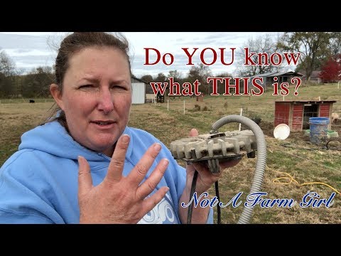 Winterize This! How We Prepare for Winter on the Homestead