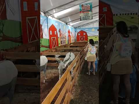 Fazendinha em Italva RJ