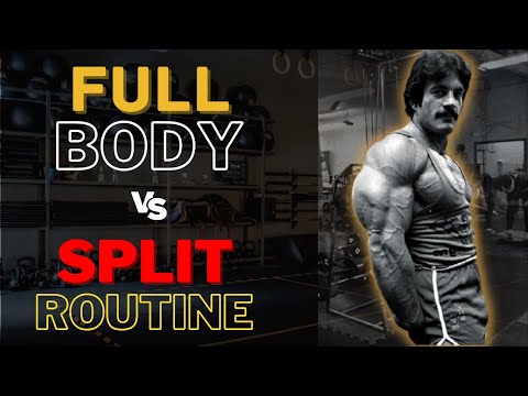 Split vs. Full Body Routine (what’s better?)
