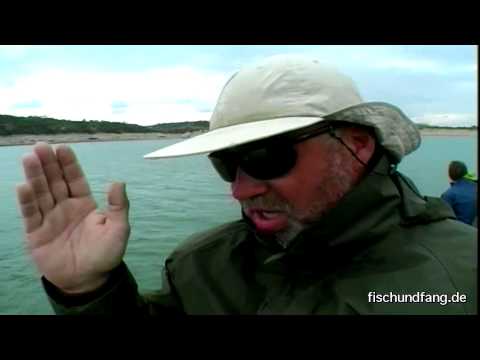 Dropshot fishing for zander