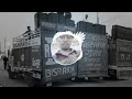 Kabootar Ja Ja Full HD Video Song Maine Pyar Kiya Salman Khan Lata Mangeshkar