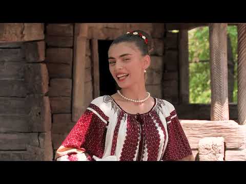 Mirabela Maria Paveloiu -  Dragi mi-s noptile de vara