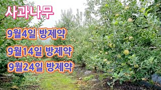 사과나무9월 방제약/9월4일 방제약/9월14일 방제약/9월24일 방제약
