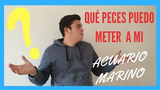 😱10 Peces para PRINCIPIANTES ACUARIO MARINO[FÁCILES]‼