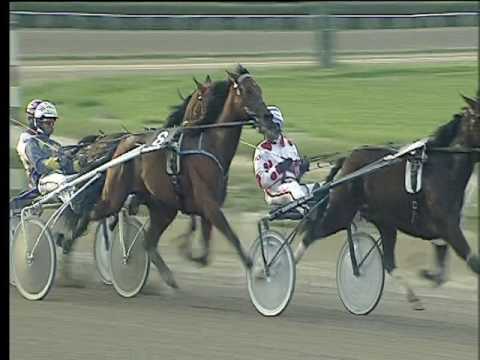 Trotto 24/03/2017 - 6ª corsa