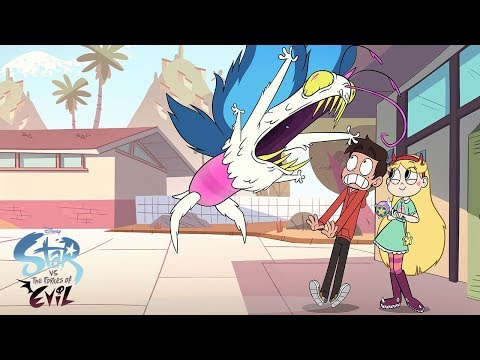 Best Moments in Star! | Star vs. the Forces of Evil | Disney Channel