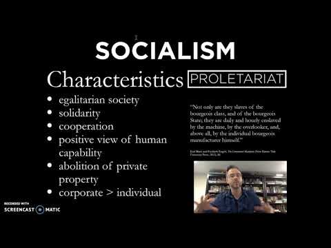19th Century Ideologies | Socialism