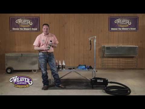 Show Supplies You Need for a Lamb Project