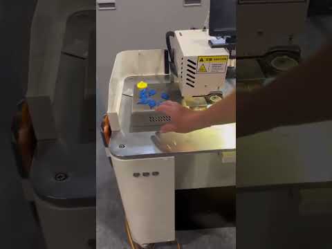 Miniatura do vídeo 3