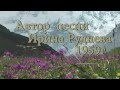 В Миссес-Коше молчанье царит 