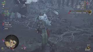 モンハンワイルズ　ゾシアに1on1挑む赤木