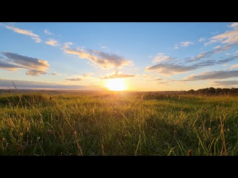 Độc thân không phải là ế | Hành trình yêu bản thân - Podcast by Hebe.P #podcast