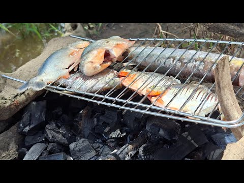 PESCARIA NO IGARAPÉ DO CARÃO. ITACOATIARA AMAZONAS 2026