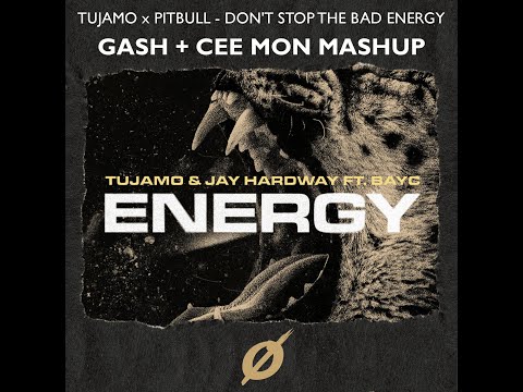 Tujamo & Jay Hardway x Pitbull x Migos - Dont Stop The Bad Energy (GASH & CEE-MON Mashup)