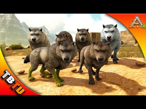 DIRE WOLF MUTATION! DIREWOLF TAMING & BREEDING! Ark: Scorched Earth E3
