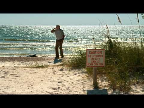 История дельфина - Трейлер