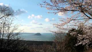 preview picture of video '佐賀県　鏡山の桜'