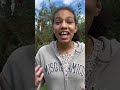 OHA Miss Hβs Outstanding Homeschool Adventure: Apple Picking Field Trip at Breezeland Orchards!