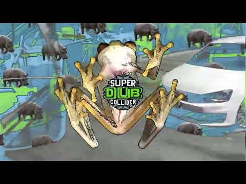 Super Dub Collider - The Disappointer