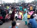 Oru Thamizachi MODIYAI KATHARA VECHA Video Jallikattu Vendum