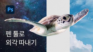 #21 펜 툴로 외각 따내기 (Pen Tool) - 포토샵 기초 강좌